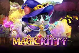 Magic Kitty