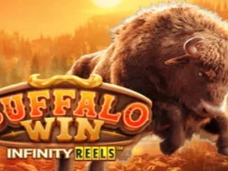 Buffalo Win