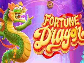 Fortune Dragon