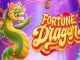 Fortune Dragon