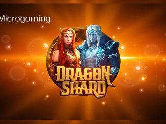 Dragon Shard