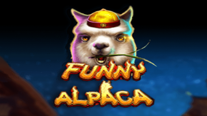 Funny Alpaca