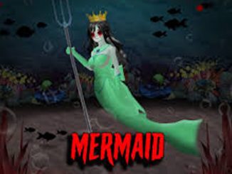 Mermaid Misteri Keindahan